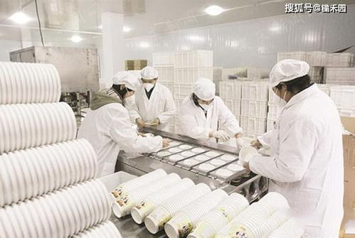 农产品进工厂,滞销变畅销,2025年,农产品营收将达到32万亿 食品工业园